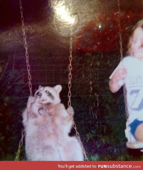 Just found out my mother had a pet raccoon growing up