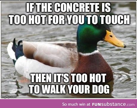 Hey dog owners!