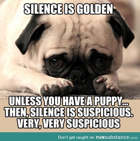 The truth about silence