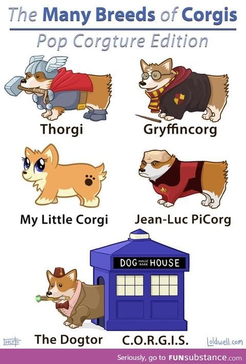 The Dogtor is my favorite