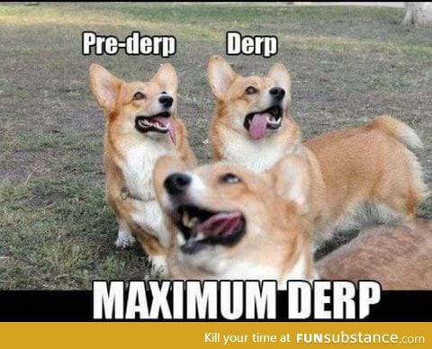 Levels of Derp:
