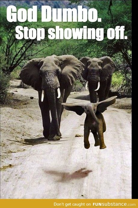 Ugh, Dumbo's got his trunk stuck up his ass.