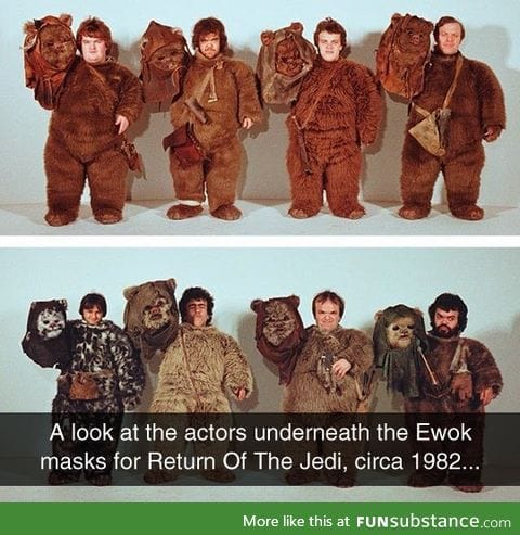 The real ewoks