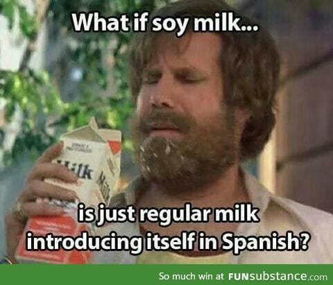Soy Milk XD