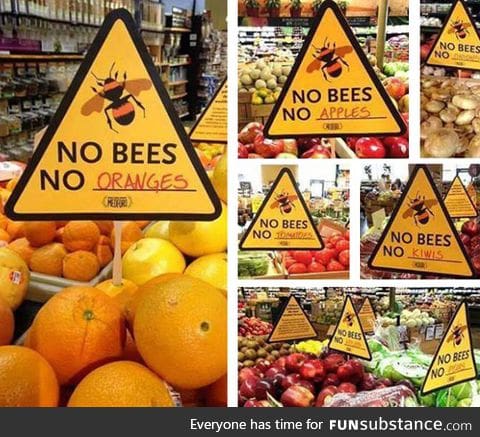 If bees go extinct