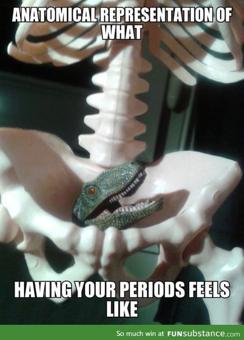 What having your periods feels like