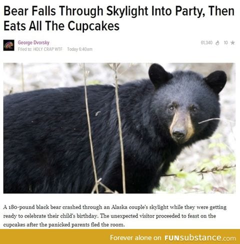 That's my kind of bear