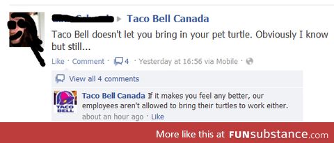 Taco bell on turtles