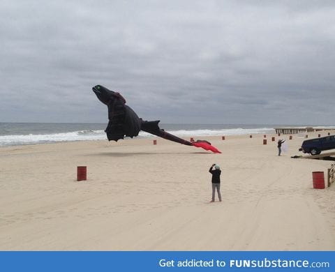 Saw this awesome toothless kite on the beach