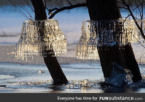 Natural chandeliers