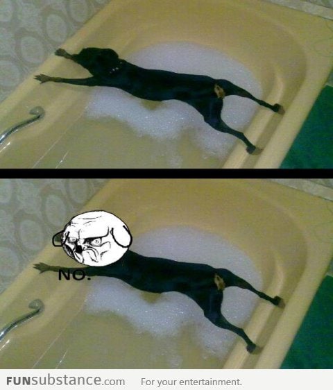 No Bath!