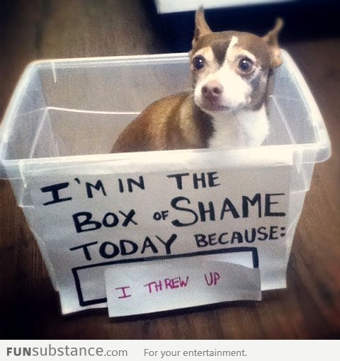 Box Of Shame