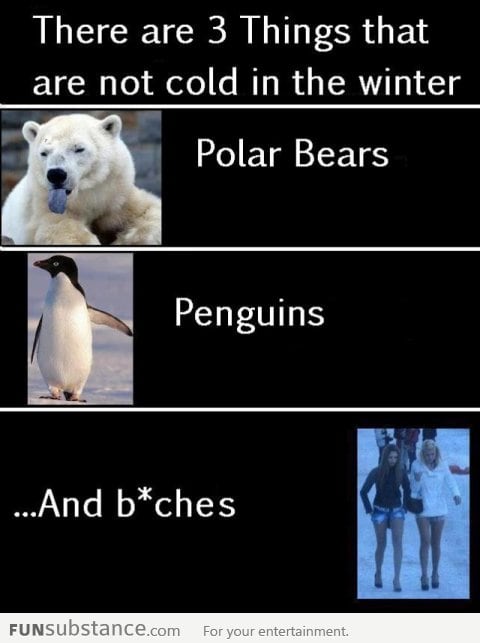 There are 3 things that are not cold in the winter