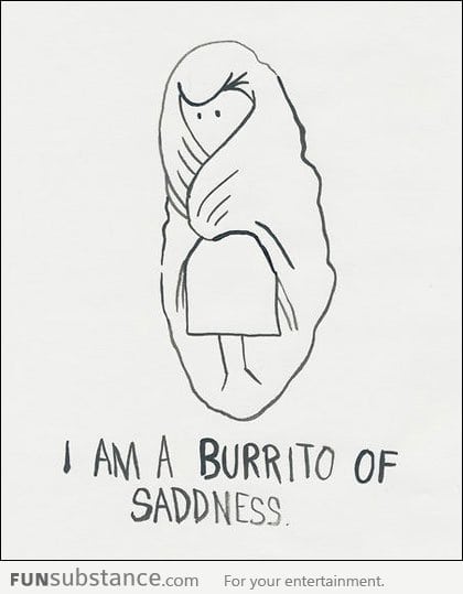 That sad moment when you go all burrito