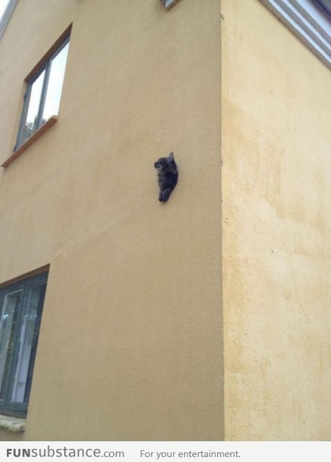 Just hanging on the wall