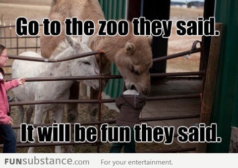 Go To The Zoo They Said