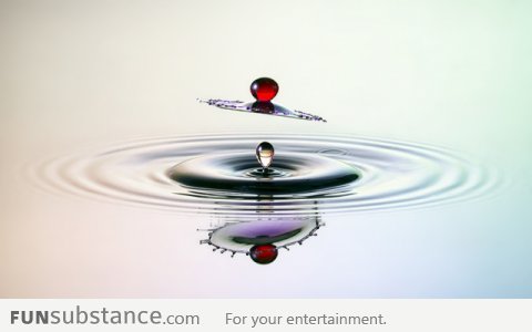 Perfect Timing: When two water droplets meet