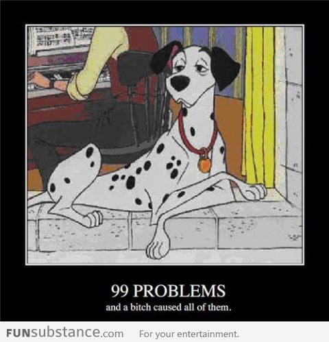 99 problems, and a b*tch caused all of them