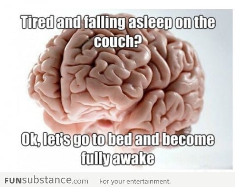 Scumbag Brain Messes Around With Sleepiness