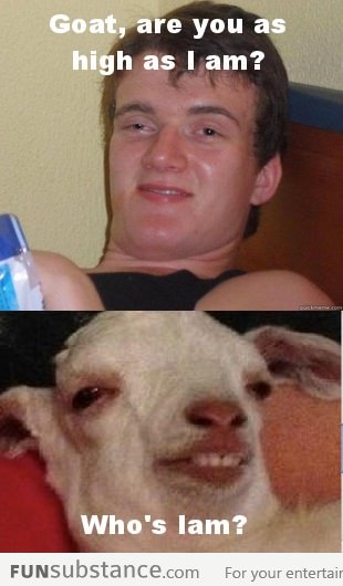 High guy and goat