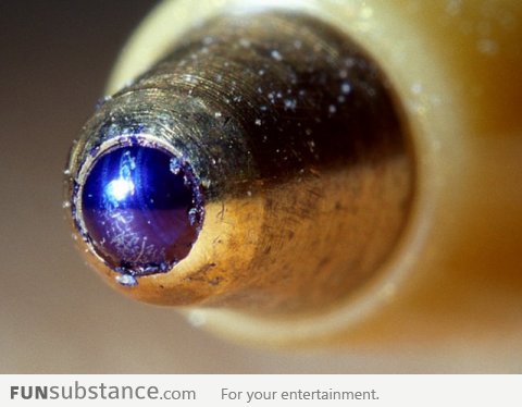 Macro photo of the tip of a pen