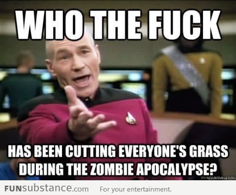 Every zombie movie ever