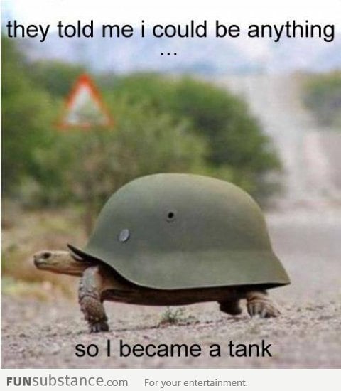 Tortoise to Tank