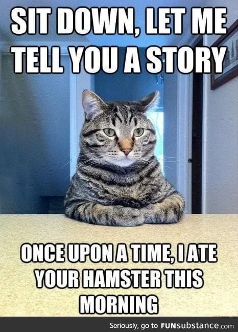 Cat's story