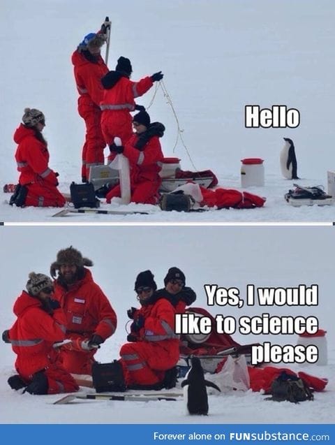 Science Penguin