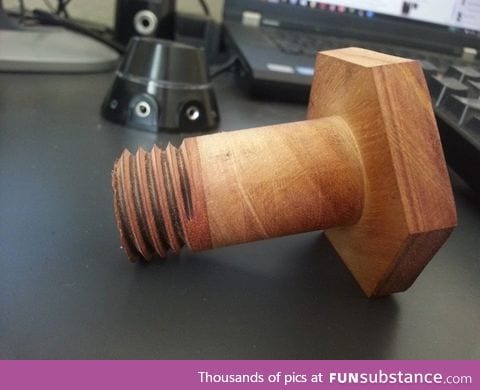 10/10 Wood Screw