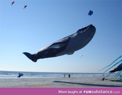 Awesome Blue Whale kite