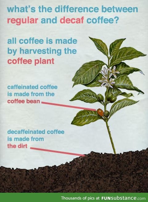 How decaf coffee is made