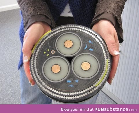 Cross Section of Undersea Cable