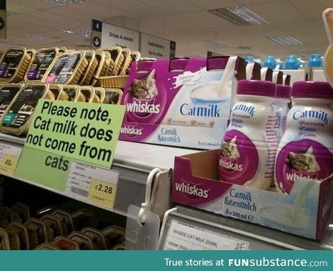 Cat milk