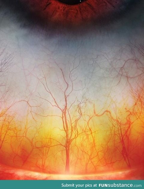 The human eye up close looks like a spooky forest