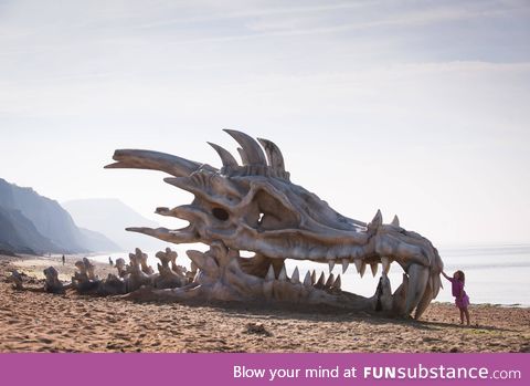 Beached dragon skull