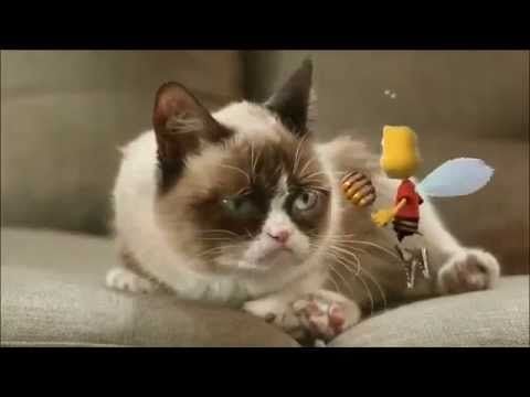 Grumpy Cat makes it big!