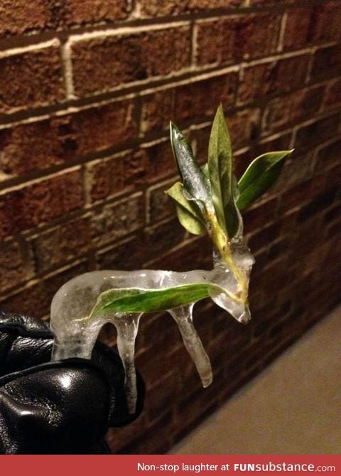 A deer shaped icicle I found after a snowstorm in January