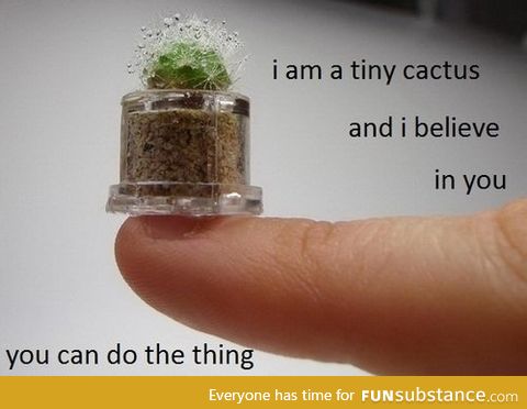 Thank you tiny cactus