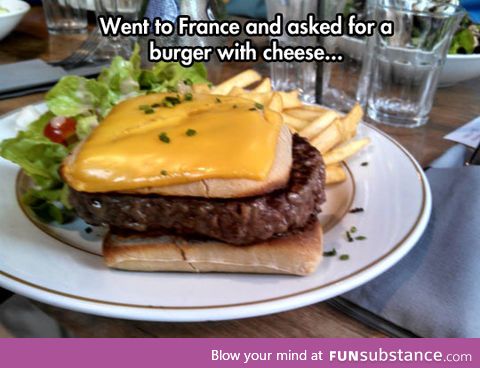 Burger du fromage