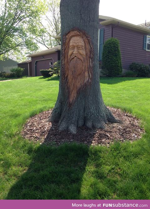 Carved tree in the neighborhood