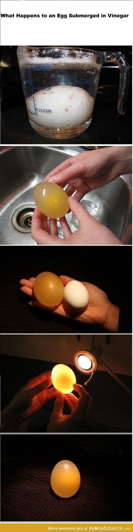 Vinegar egg