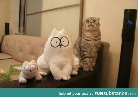 Simon's cat and friends