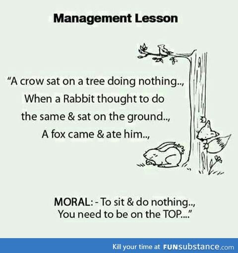 Management lesson