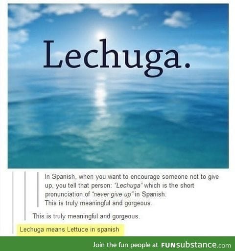Lechuga.