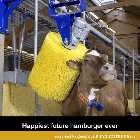 Happy hamburger