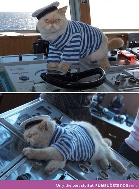 Captain cat