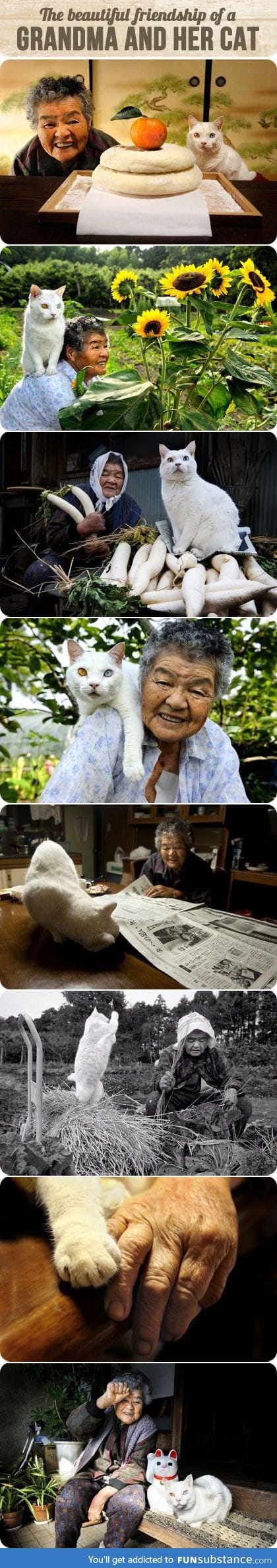 The beautiful friendship of a grandma and her cat