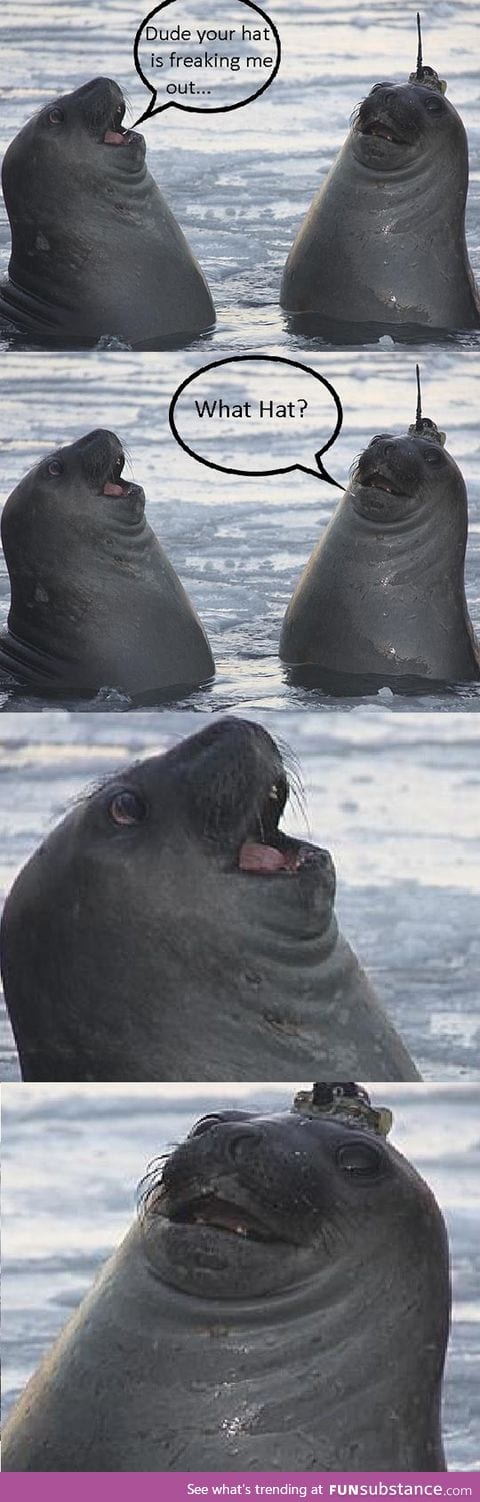 Seal life