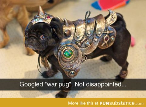 War pug